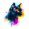 Chat Noir, black cat