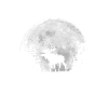 Full Moon - Night - Moose Silhouette