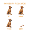 RHODESIAN RIDGEBACK TRAININGSLEITFADEN Lustiges