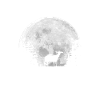 Vollmond - Nacht - Ziege Silhouette