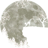 Chat dans la lune