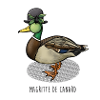 Magritte de Canard