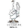 Cygne qui ne trompent pas