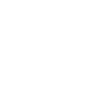 Meister 2024
