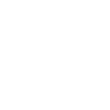 Meister 2024