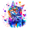 Chat , chaton, maine coon