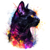 chat noir, black cat