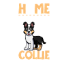 Home - Shorthair Collie