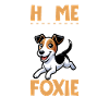 Home - Smooth-haired Fox Terrier