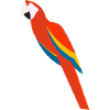 Papagei