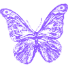 Schmetterling