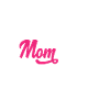 Violin Violin Violinist Violin Player