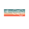Violin Violin Violinist Violin Player