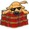 Dog Meme Drummer