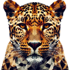 Léopard de style polygonal