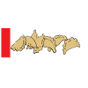 Pierogi polonais