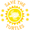 turtle, sea turtle, sea turtle, reptile