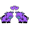 cows in love
