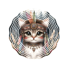 Bohemian Style Kitten