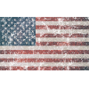 Je m’identifie comme non-Bidenary - 2024