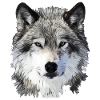 Le Loup