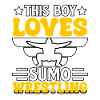 This Boy loves Sumo Wrestling