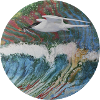 Seagull