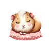 Guinea pig