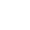 Team navalny