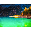 AUTUMN DREAM