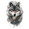 Jagd Hunting Wolf