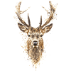 Hunting Hunting Deer