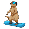 Snowboardeur Suricate