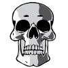 Schadewinkler Skull Contrast