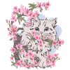 cats flowers cats kitty