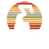Robotics Robot Programmer