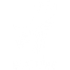 White Elk Animal Totem