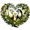 Frettchen Liebe