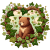 Brown Bear