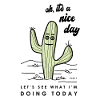 nice day