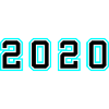 2020 Year Birthday