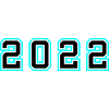 2022 Year Birthday