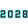 2028 Year Birthday