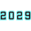 2029 Year Birthday