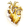 Anatomical golden heart