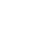 Évolution du canard