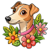 Cute whippet dog