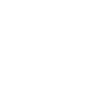 Writer