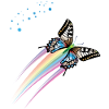 Schmetterling mit Regenbogenfarben