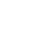 Painter
